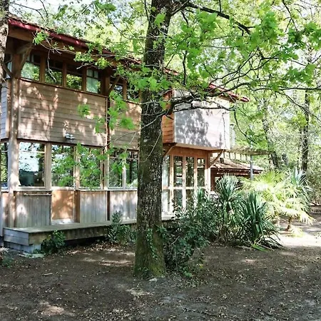 La Sous Les Pins * Andernos-les-Bains