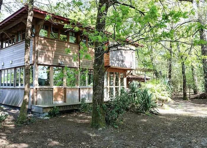 La Sous Les Pins * أنديرنو لي بان